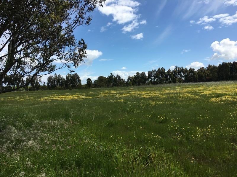 40 Ayreys Reserve Road, Warncoort VIC 3243