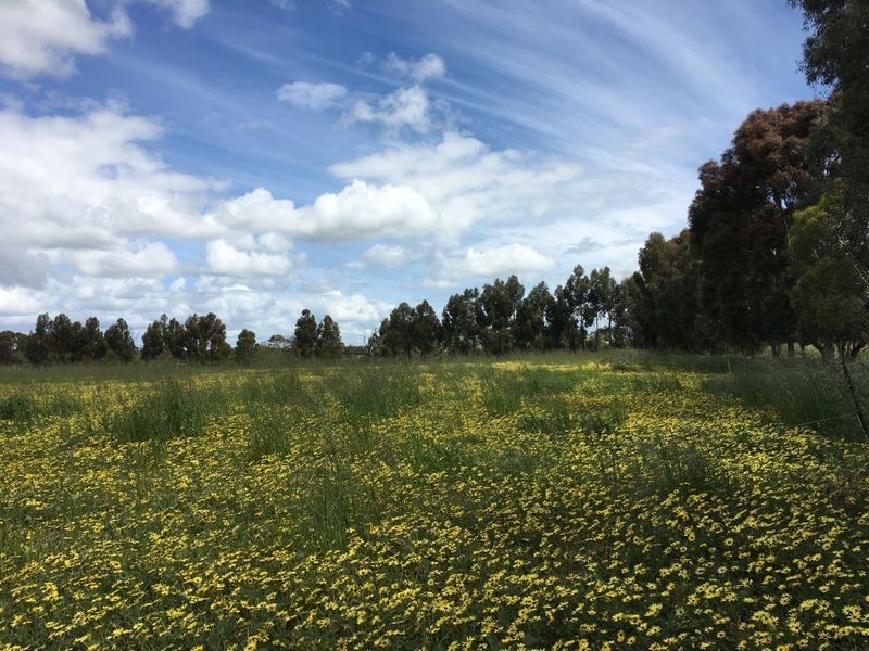 40 Ayreys Reserve Road, Warncoort VIC 3243