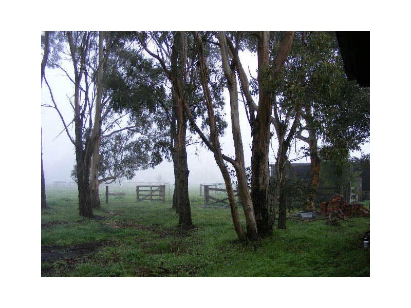 235 Forest Street, Colac VIC 3250