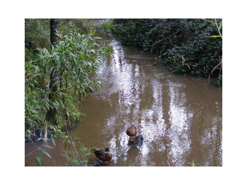 2030 Colac Lavers Hill Road, Gellibrand VIC 3239