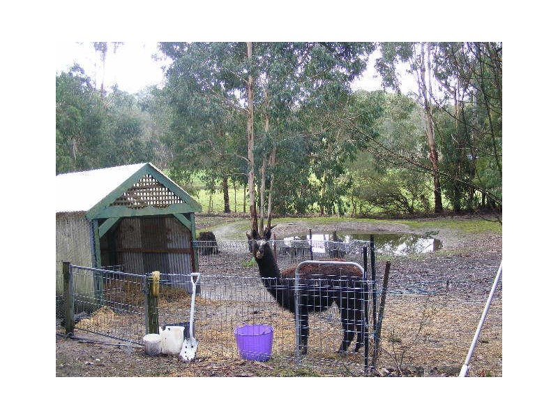 2030 Colac Lavers Hill Road, Gellibrand VIC 3239