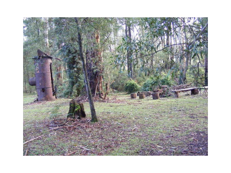 2030 Colac Lavers Hill Road, Gellibrand VIC 3239