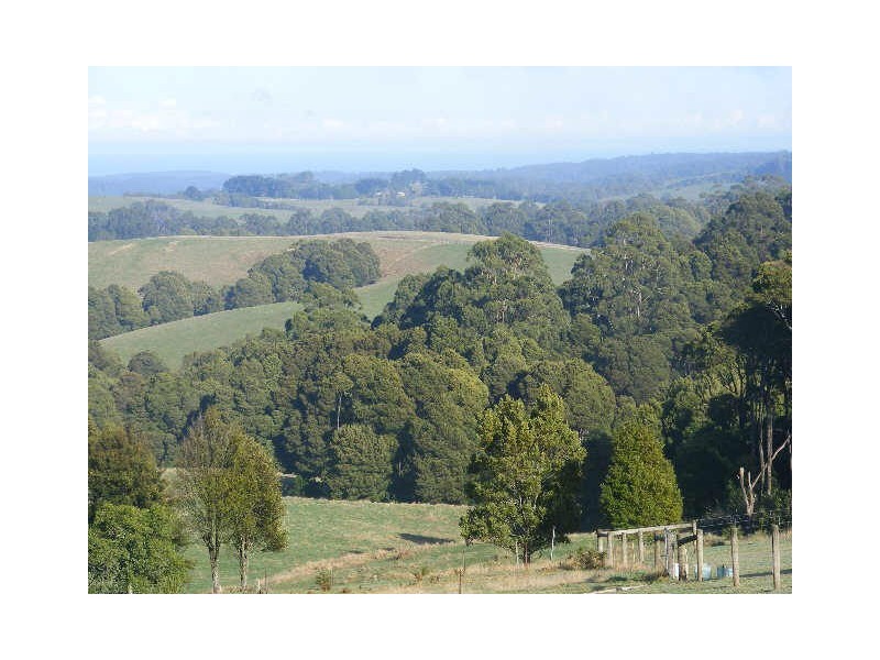 11 Gardner Street, Beech Forest VIC 3237