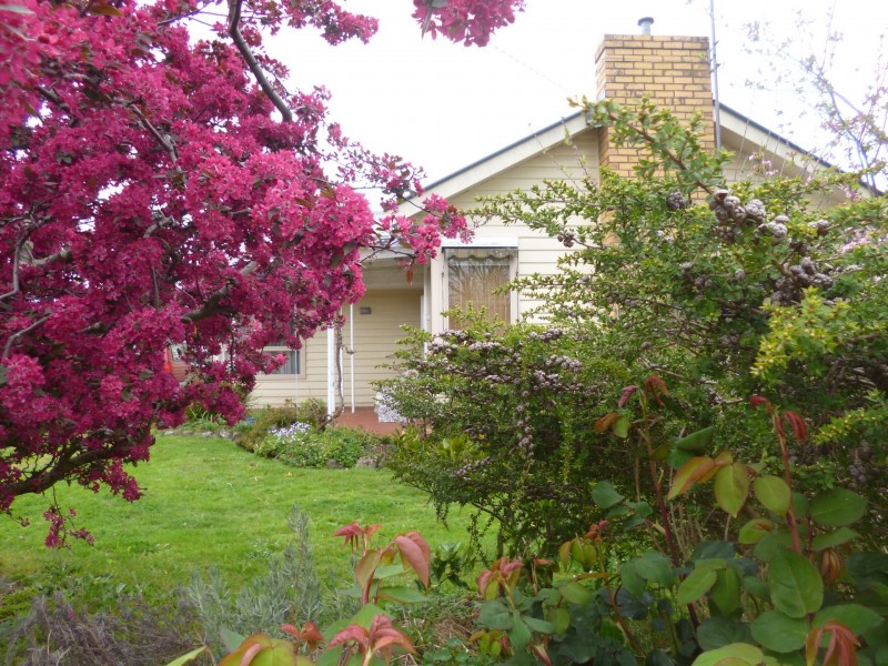 4 Cardell Court, Colac VIC 3250