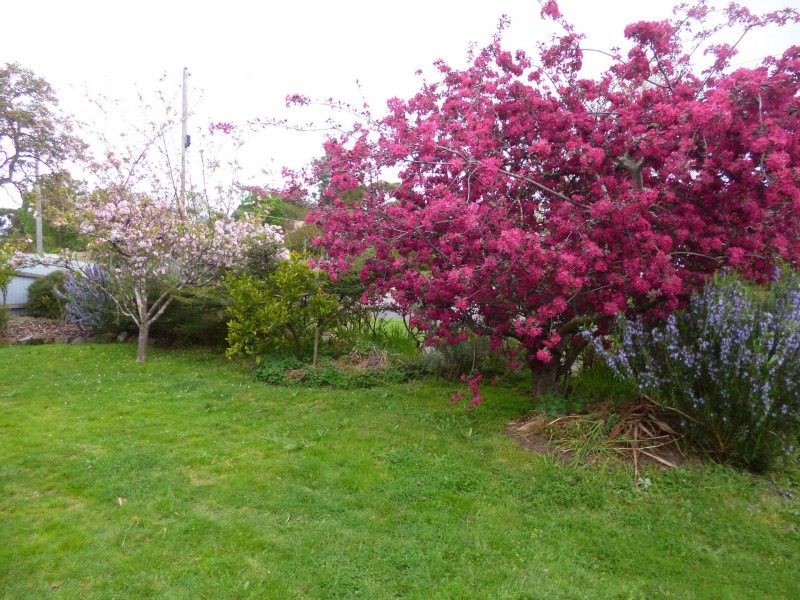 4 Cardell Court, Colac VIC 3250