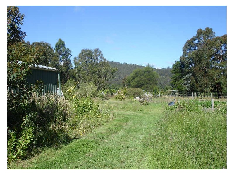 55 Old Beech Forest Road, Gellibrand VIC 3239