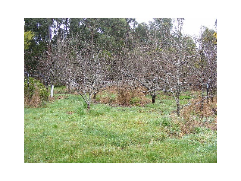 55 Old Beech Forest Road, Gellibrand VIC 3239