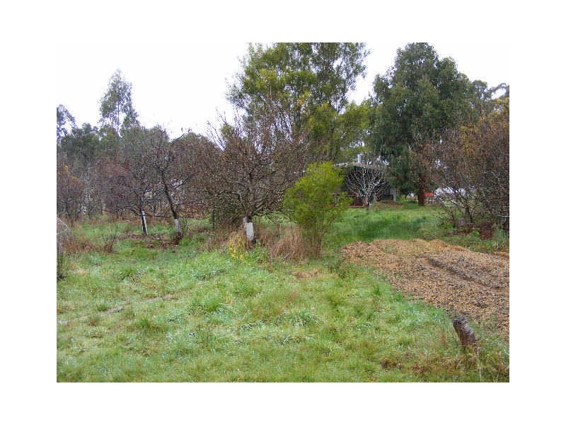 55 Old Beech Forest Road, Gellibrand VIC 3239