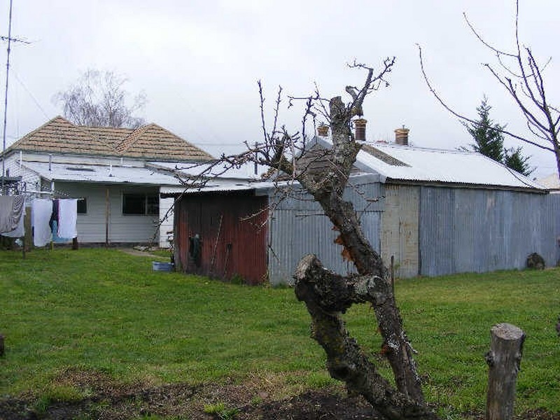 41 Campbell Street, Colac VIC 3250