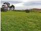 41 Bruce Street, Colac VIC 3250