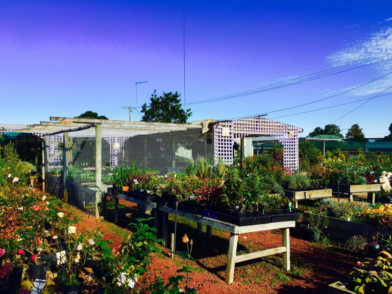 180-186 Hearn Street, Colac VIC 3250