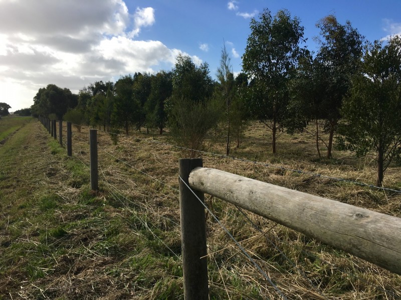 11 North Egan Street, Colac VIC 3250