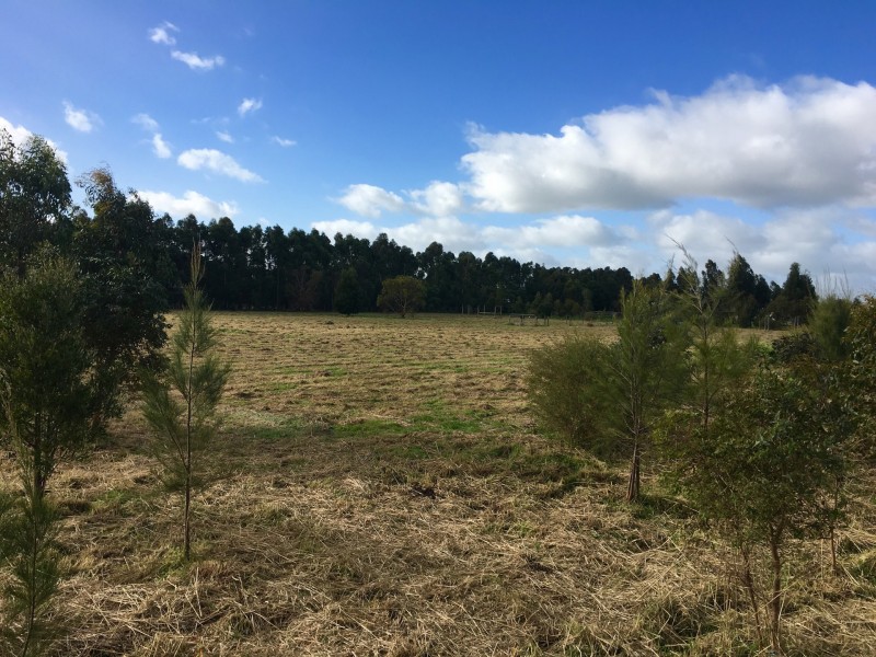 11 North Egan Street, Colac VIC 3250