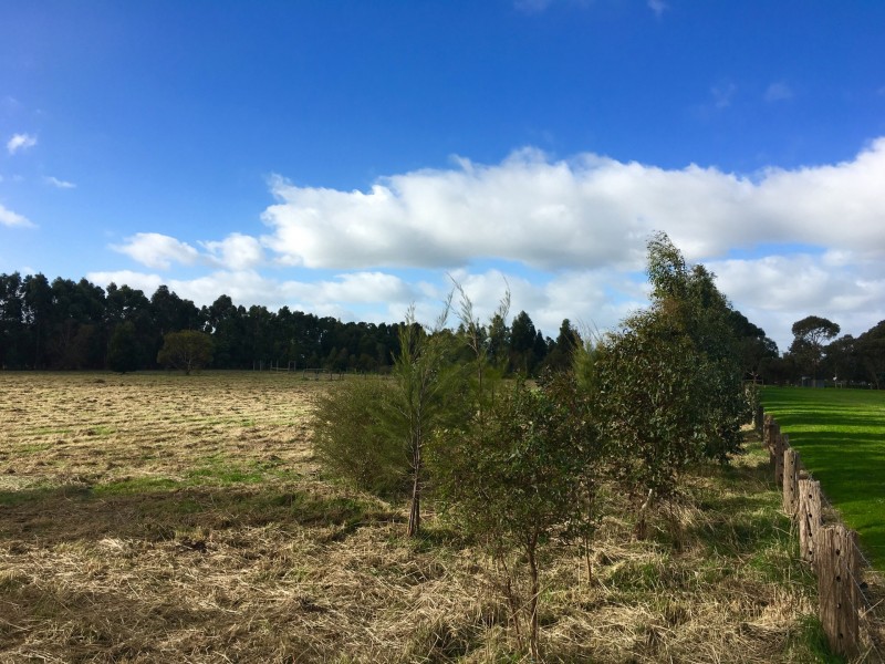 11 North Egan Street, Colac VIC 3250