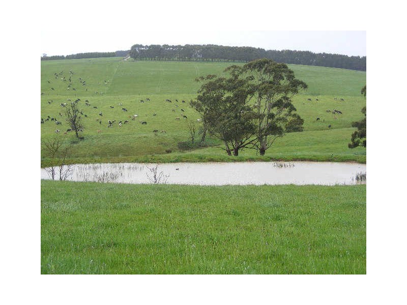 125 Ackerleys Road, Barongarook VIC 3249