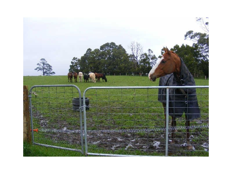 125 Ackerleys Road, Barongarook VIC 3249
