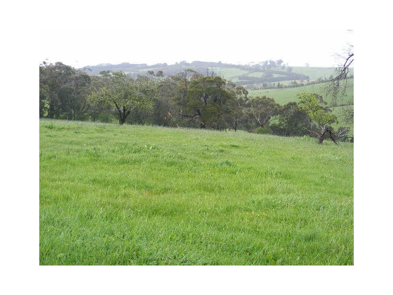 125 Ackerleys Road, Barongarook VIC 3249