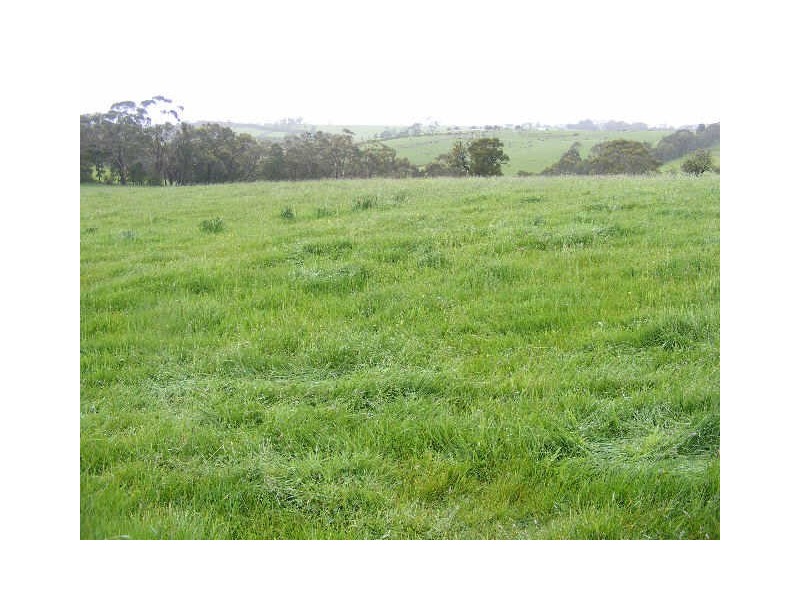 125 Ackerleys Road, Barongarook VIC 3249
