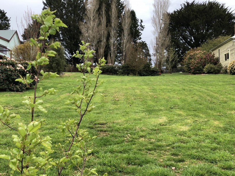 40 Old Main Road, Beech Forest VIC 3237