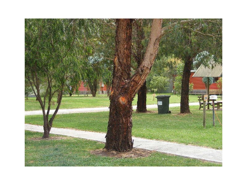 Cabins 10-13/25 Main Road, Gellibrand VIC 3239