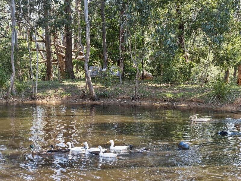 120 Birregurra Yeodene Road, Yeodene VIC 3249