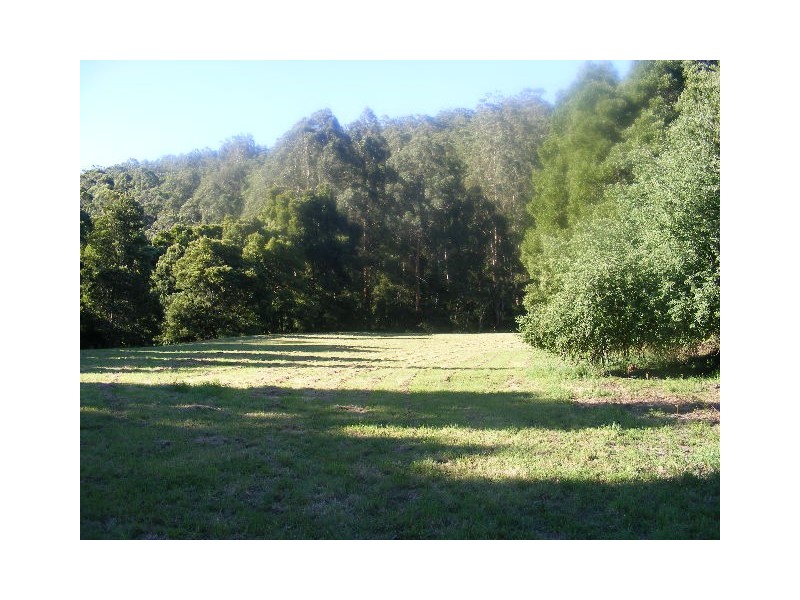 105 Jacksons Track, Gellibrand VIC 3239