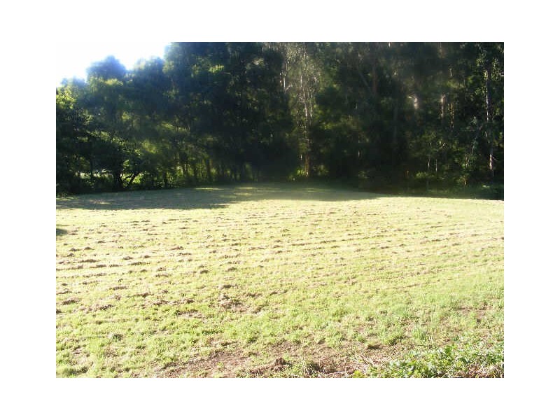 105 Jacksons Track, Gellibrand VIC 3239