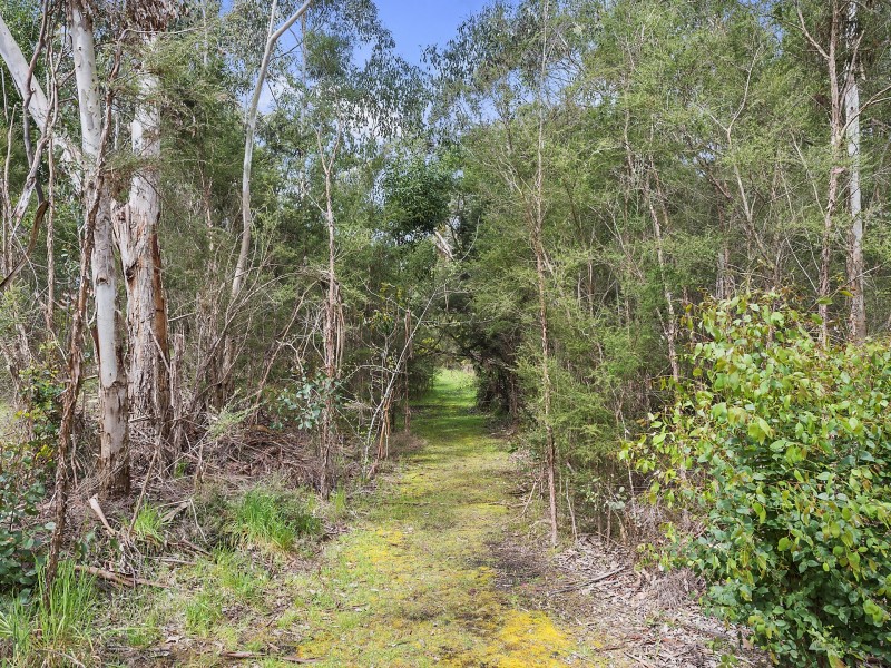 465 Colac Lavers Hill Road, Barongarook VIC 3249