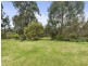 465 Colac Lavers Hill Road, Barongarook VIC 3249