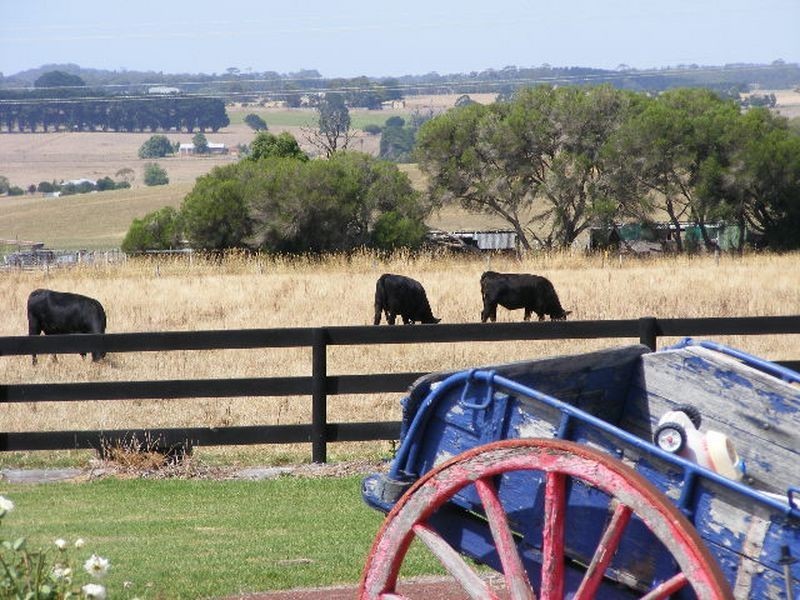 285 Colac Forest Road, Yeo VIC 3249