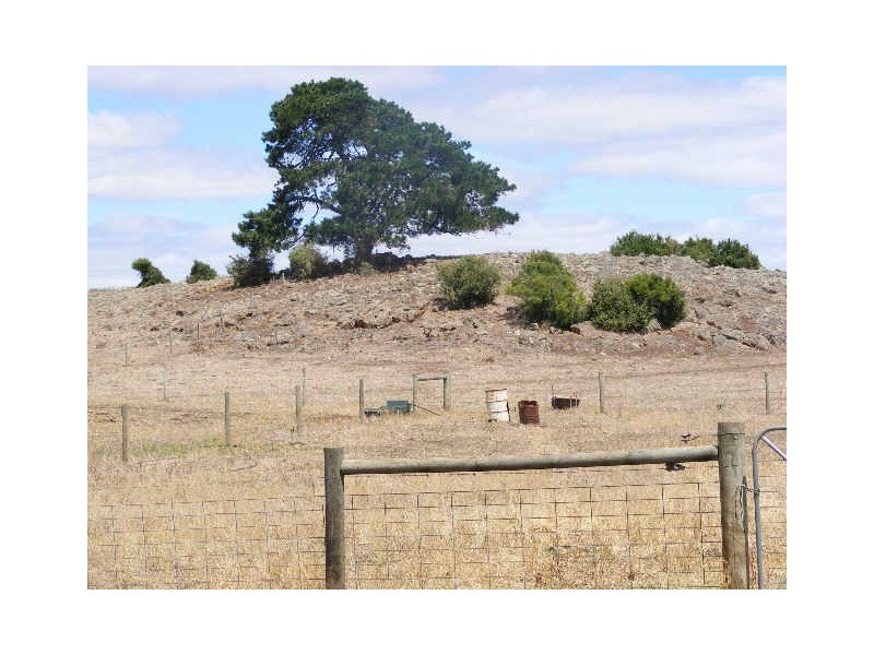 290 Bullock Swamp Road, Coragulac VIC 3249
