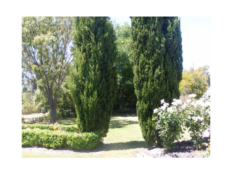 197 Armstrong Street, Colac VIC 3250