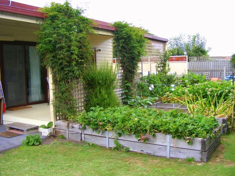 53 Jennings Street, Colac VIC 3250