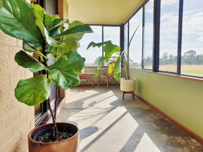 5795 Princes Highway, Warncoort VIC 3243