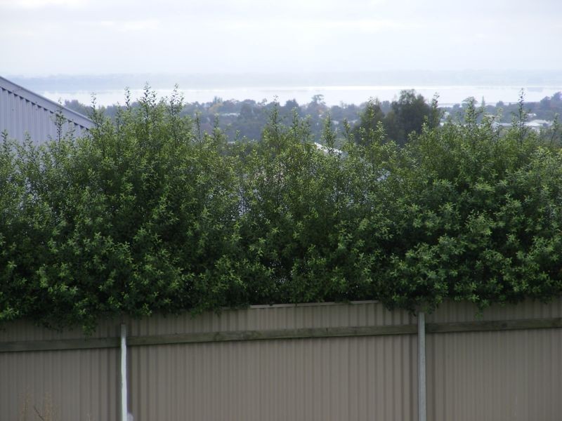 3 Kevin Court, Elliminyt VIC 3250