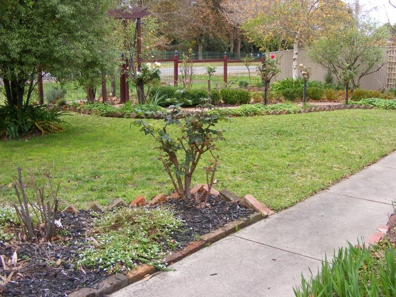 50 Fyans Street, Colac VIC 3250