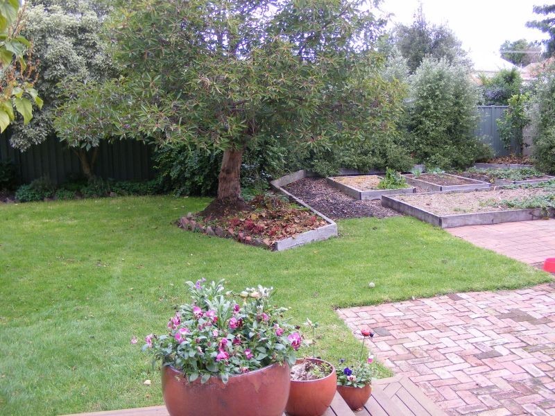 50 Fyans Street, Colac VIC 3250