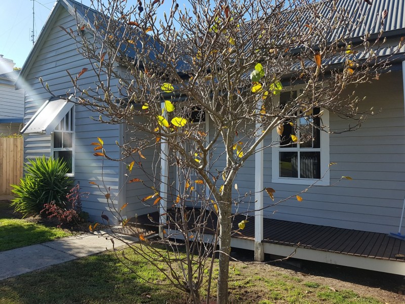20 Corangamite Street, Colac VIC 3250