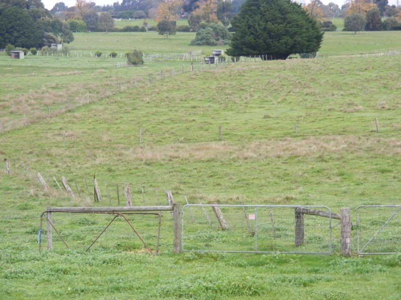 78 Harris Road, Elliminyt VIC 3250