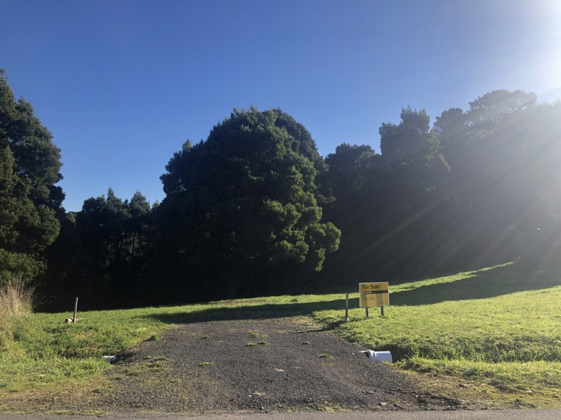 20 Dehnerts Track, Beech Forest VIC 3237