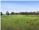 129 Aireys Street, Elliminyt VIC 3250