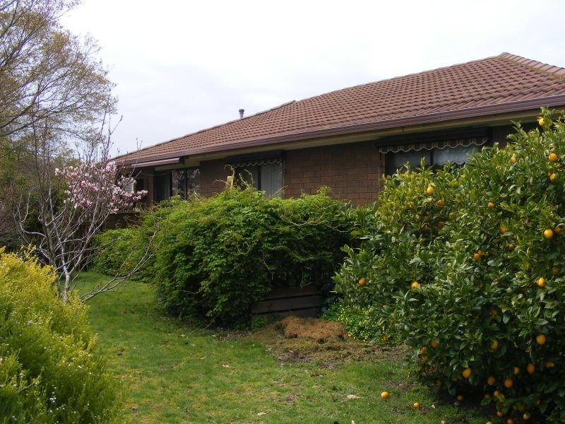 44 Balnagowan Avenue, Colac VIC 3250