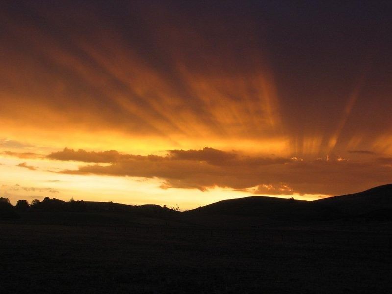 105 Riccarton Road, Warrion VIC 3249