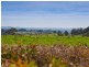25 Water Basin Road, Elliminyt VIC 3250