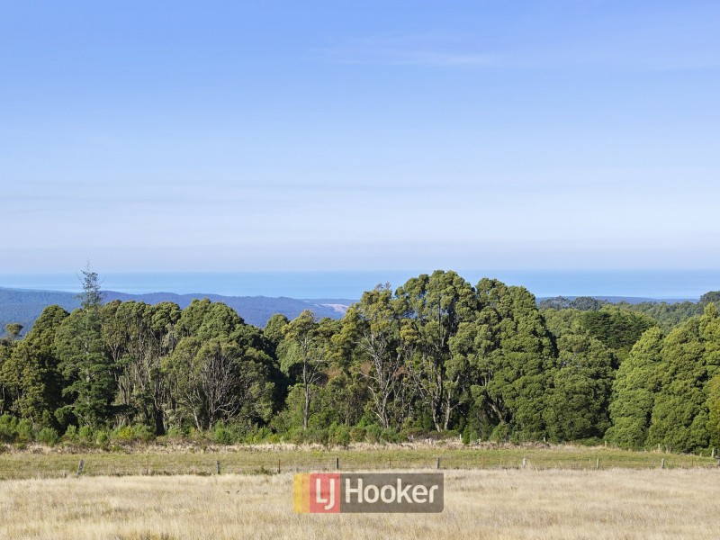 285 Ameits Track, Wyelangta VIC 3237