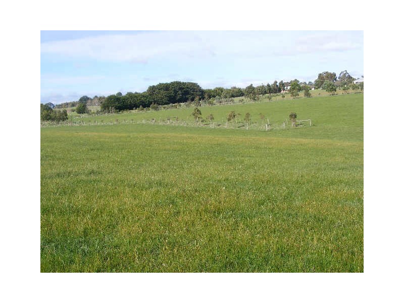 120 Collins Road, Irrewarra VIC 3249