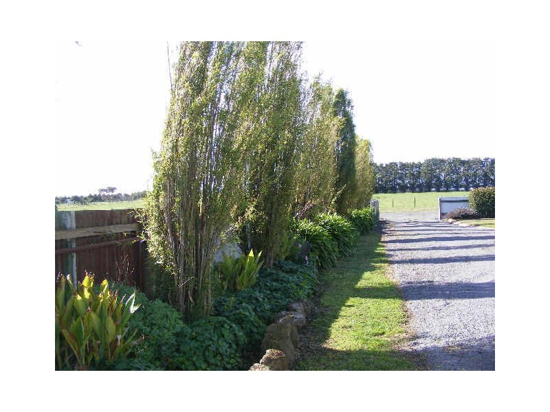 120 Collins Road, Irrewarra VIC 3249