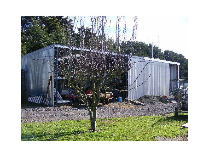 120 Collins Road, Irrewarra VIC 3249