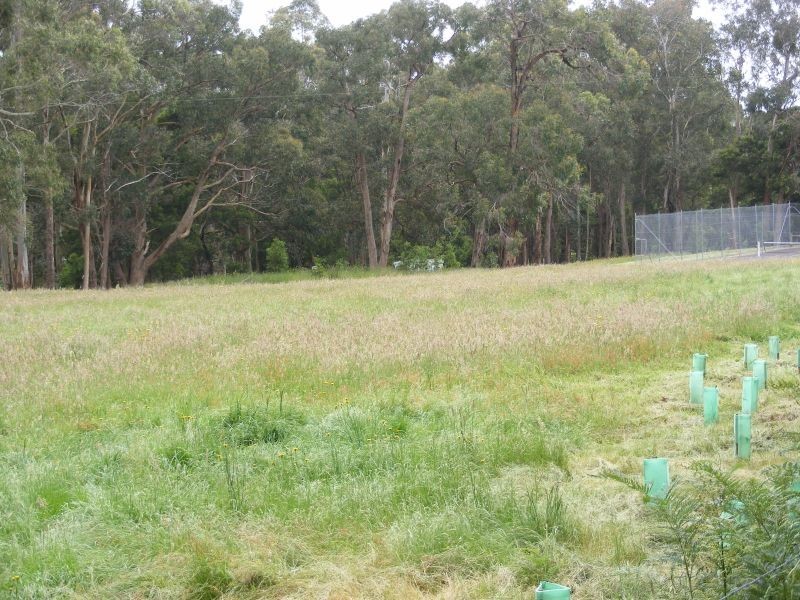 2120 Colac Forrest Road, Gerangamete VIC 3243