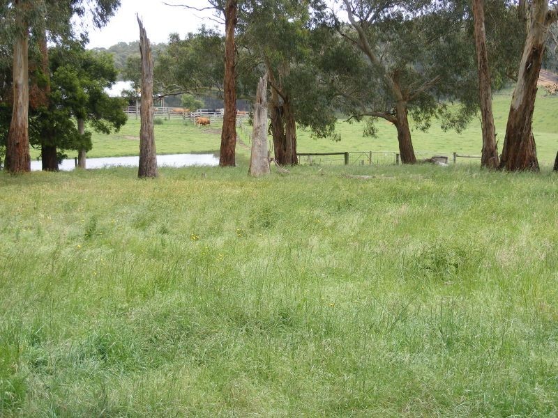2120 Colac Forrest Road, Gerangamete VIC 3243